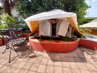 猫ハウスの写真